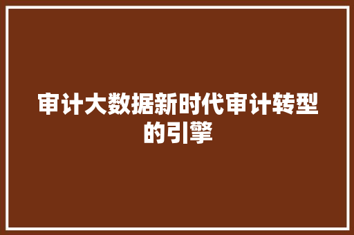 审计大数据新时代审计转型的引擎  第1张