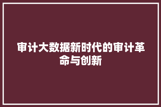 审计大数据新时代的审计革命与创新  第1张