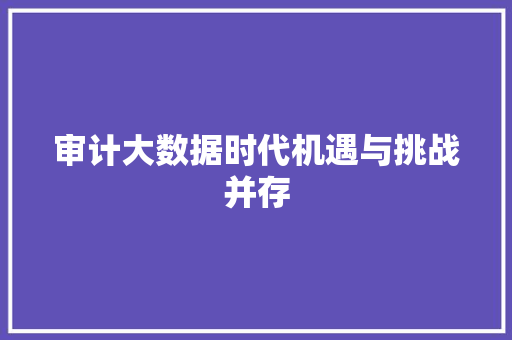审计大数据时代机遇与挑战并存  第1张