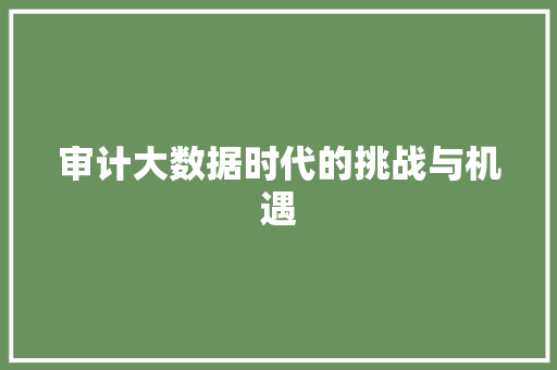 审计大数据时代的挑战与机遇  第1张