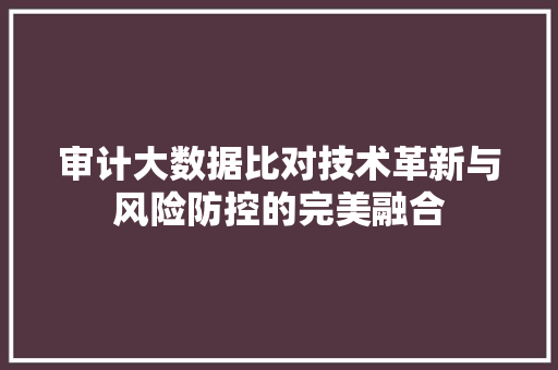 审计大数据比对技术革新与风险防控的完美融合  第1张