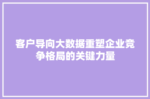 客户导向大数据重塑企业竞争格局的关键力量  第1张