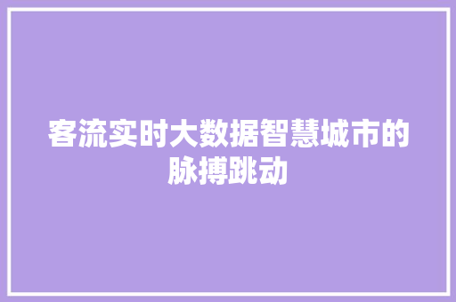 客流实时大数据智慧城市的脉搏跳动  第1张