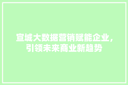 宣城大数据营销赋能企业，引领未来商业新趋势