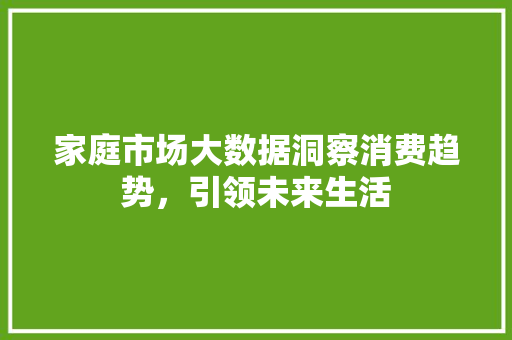 家庭市场大数据洞察消费趋势，引领未来生活  第1张