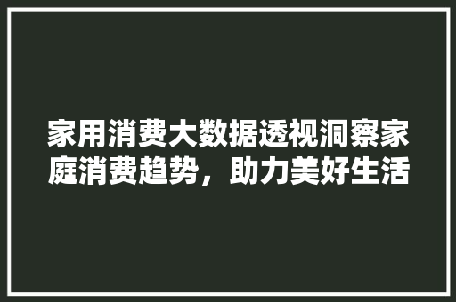 家用消费大数据透视洞察家庭消费趋势，助力美好生活  第1张