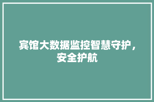 宾馆大数据监控智慧守护，安全护航  第1张