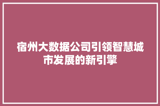 宿州大数据公司引领智慧城市发展的新引擎  第1张