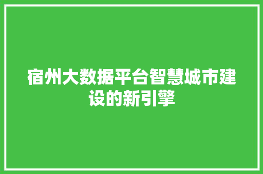 宿州大数据平台智慧城市建设的新引擎