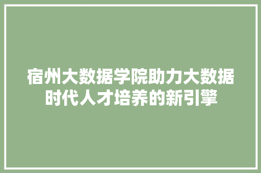 宿州大数据学院助力大数据时代人才培养的新引擎