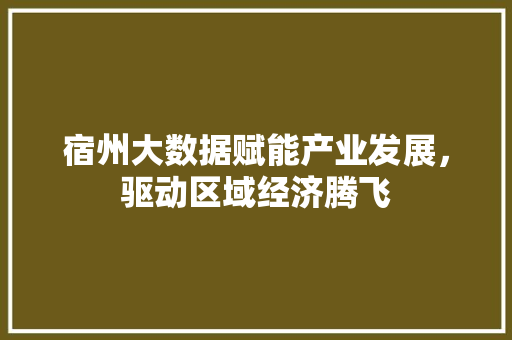 宿州大数据赋能产业发展，驱动区域经济腾飞