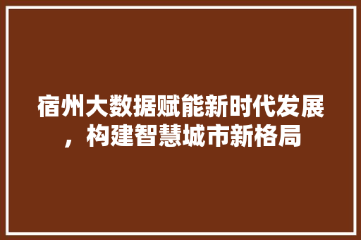 宿州大数据赋能新时代发展，构建智慧城市新格局  第1张