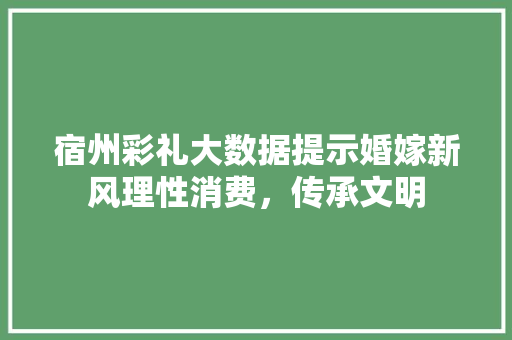 宿州彩礼大数据提示婚嫁新风理性消费，传承文明