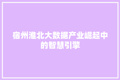 宿州淮北大数据产业崛起中的智慧引擎