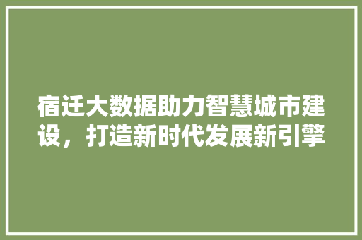 宿迁大数据助力智慧城市建设，打造新时代发展新引擎  第1张