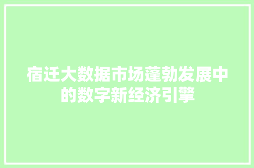 宿迁大数据市场蓬勃发展中的数字新经济引擎  第1张