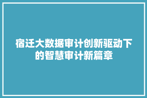 宿迁大数据审计创新驱动下的智慧审计新篇章  第1张