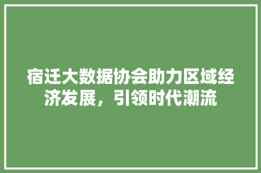 宿迁大数据协会助力区域经济发展，引领时代潮流  第1张