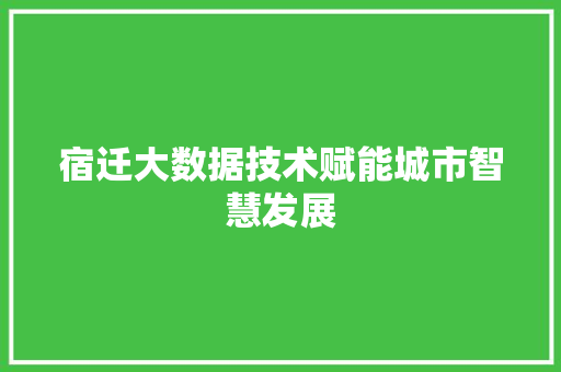 宿迁大数据技术赋能城市智慧发展  第1张