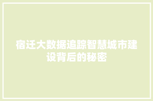 宿迁大数据追踪智慧城市建设背后的秘密  第1张