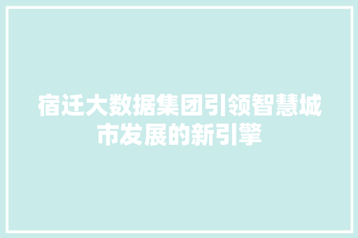 宿迁大数据集团引领智慧城市发展的新引擎
