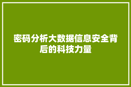 密码分析大数据信息安全背后的科技力量