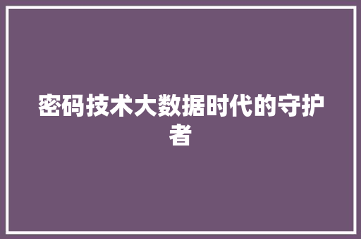 密码技术大数据时代的守护者