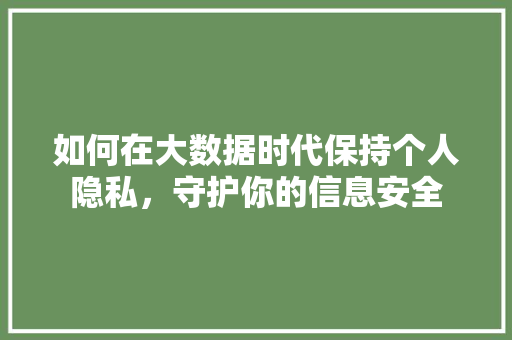 如何在大数据时代保持个人隐私，守护你的信息安全