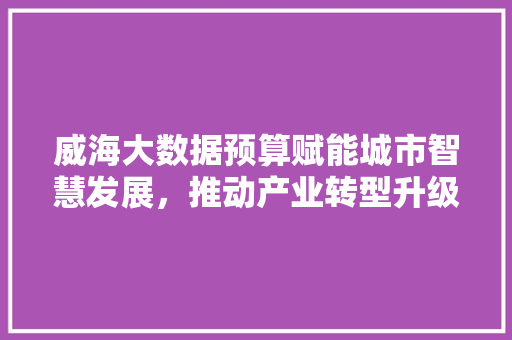威海大数据预算赋能城市智慧发展，推动产业转型升级