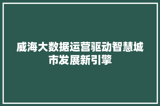 威海大数据运营驱动智慧城市发展新引擎