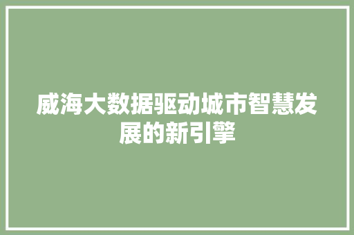 威海大数据驱动城市智慧发展的新引擎