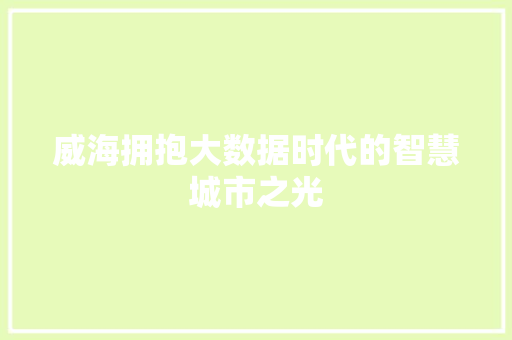 威海拥抱大数据时代的智慧城市之光