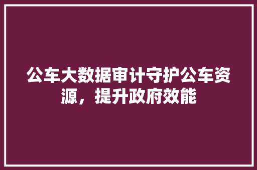 公车大数据审计守护公车资源，提升政府效能  第1张
