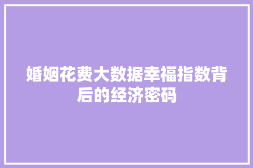 婚姻花费大数据幸福指数背后的经济密码  第1张