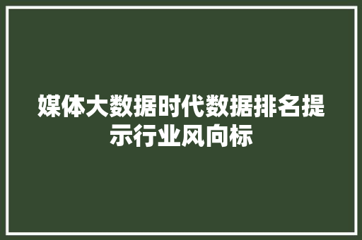 媒体大数据时代数据排名提示行业风向标  第1张