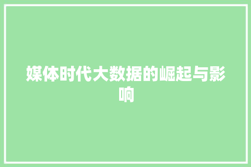 媒体时代大数据的崛起与影响