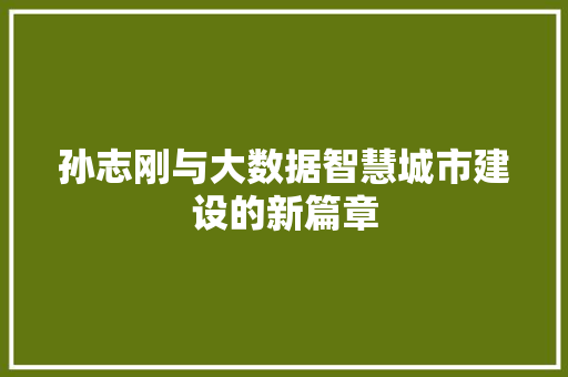 孙志刚与大数据智慧城市建设的新篇章  第1张