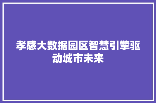孝感大数据园区智慧引擎驱动城市未来