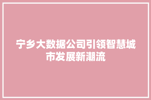 宁乡大数据公司引领智慧城市发展新潮流  第1张