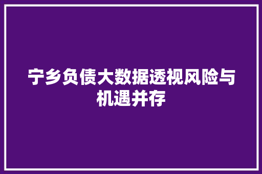 宁乡负债大数据透视风险与机遇并存  第1张