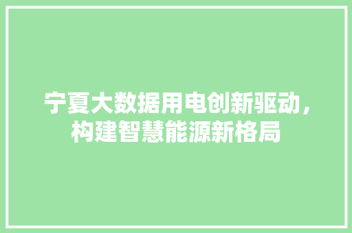宁夏大数据用电创新驱动，构建智慧能源新格局  第1张