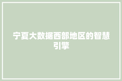 宁夏大数据西部地区的智慧引擎  第1张