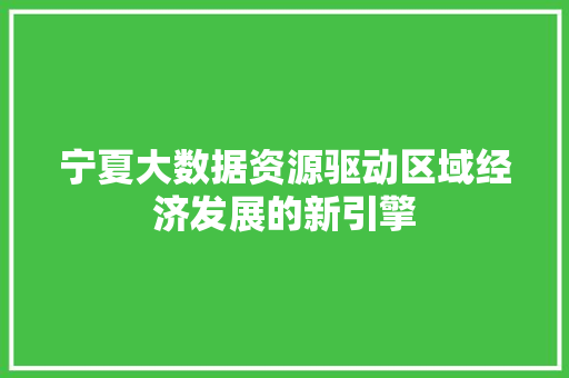 宁夏大数据资源驱动区域经济发展的新引擎  第1张
