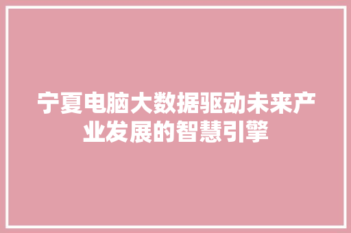 宁夏电脑大数据驱动未来产业发展的智慧引擎