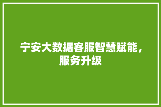 宁安大数据客服智慧赋能，服务升级  第1张