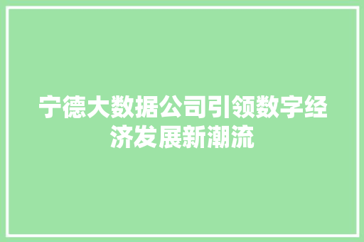 宁德大数据公司引领数字经济发展新潮流