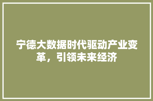 宁德大数据时代驱动产业变革，引领未来经济