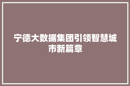 宁德大数据集团引领智慧城市新篇章