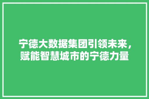 宁德大数据集团引领未来，赋能智慧城市的宁德力量