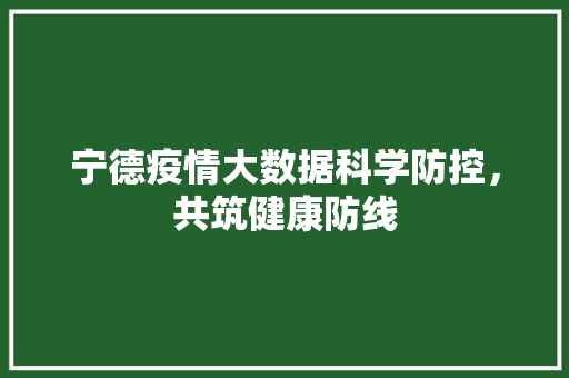 宁德疫情大数据科学防控，共筑健康防线  第1张